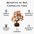 thumbnail image 3 of WC Carnelian Chakra Tree of Life - Crystal Tree for Positive Energy, Handmade Gemstone Tree Good Luck Orange Healing Crystals for Sacral Chakra, Prosperity Gift Feng Shui Decor (300 Beads), 3 of 6