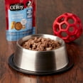 thumbnail image 2 of Ol' Roy Puppy Tender Morsels with Chicken Wet Dog Food Pouch, 3.5 oz, 2 of 7