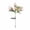 Pink, variant on geerera Solar Powered Lily Flower Lights, Waterproof Landscape Lighting, Outdoor Garden Stakes, for Pathway, Yard, Patio Decor