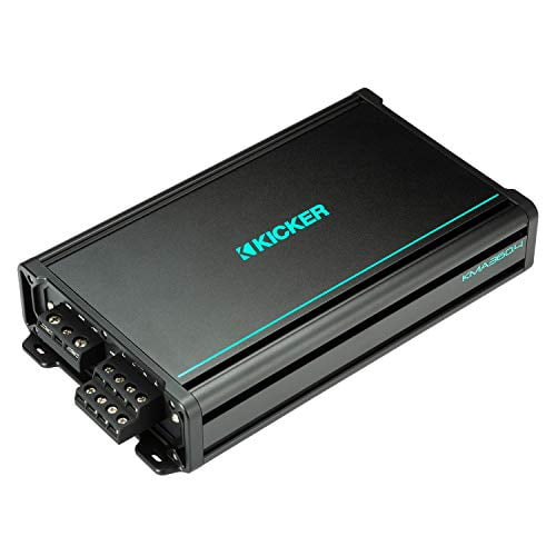 800-Watt Mono Class D Subwoofer Amp 