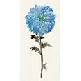 thumbnail image 2 of Stellar Design Studio 18x32 Gold Ornate Wood Framed with Double Matting Museum Art Print Titled - Flourishing Floral I, 2 of 4