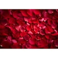 thumbnail image 3 of 8x6ft,Valentine's Day Backdrop,Valentine Photography Background,Red Rose Photo Backdrops for Party Decorations, 3 of 4