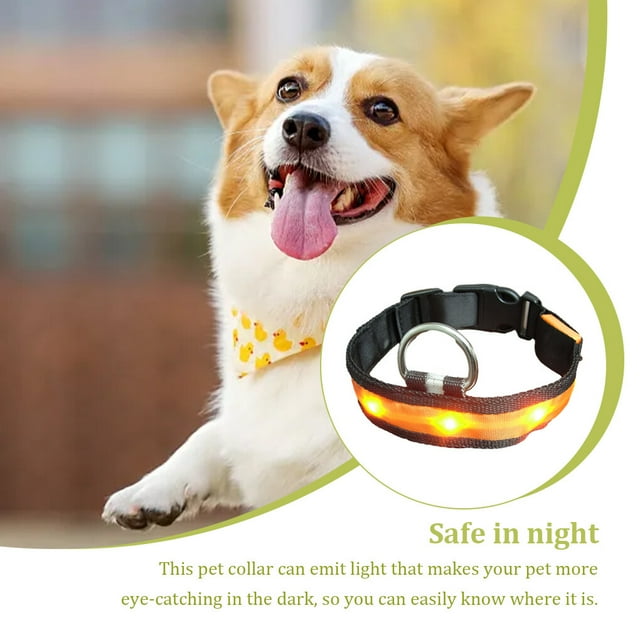 Collier Incandescent Réglable pour Animaux de Compagnie Randonnée Nuit Lavable Lumineux Marche Animal Allumé Choker Colliers Portables Lavables Animaux de Compagnie Fournitures Cadeau Orange S