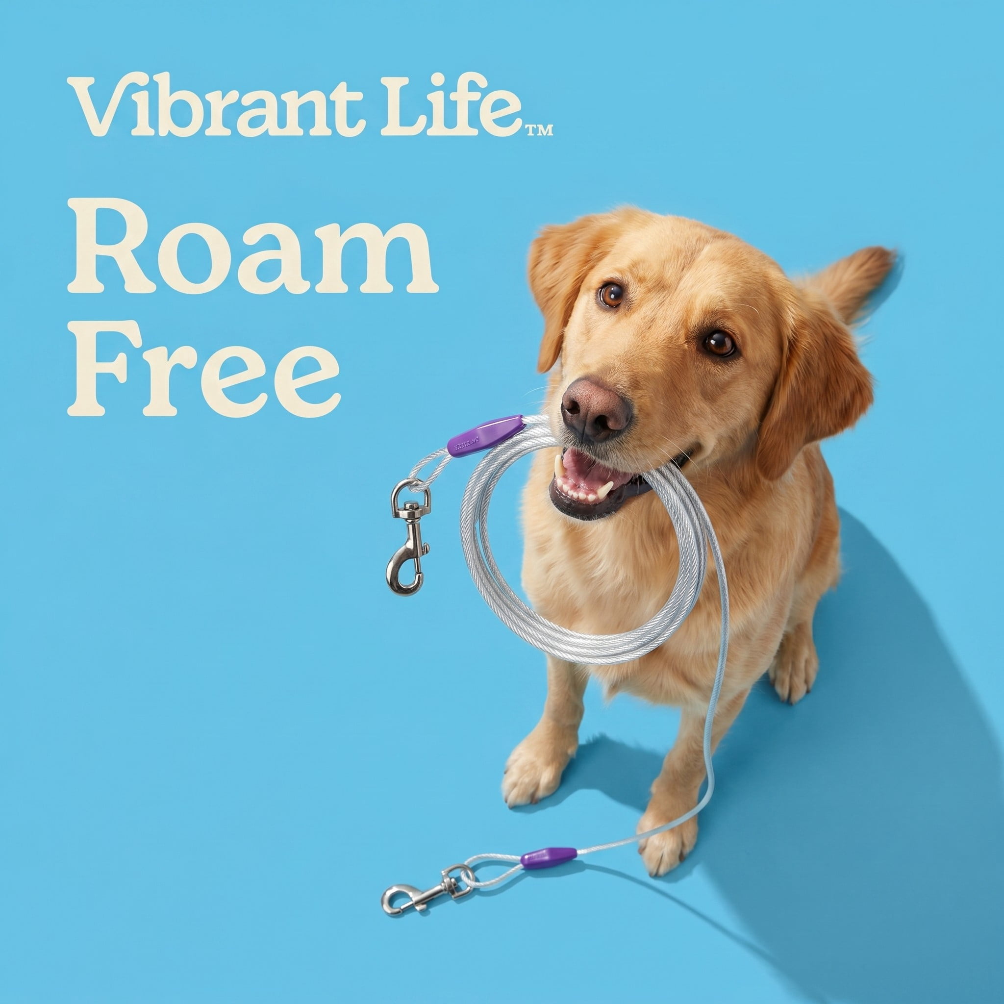 (2 pack) Vibrant Life Reflective Vinyl-Covered Tie-Out Cable for Dogs, M, 25'
