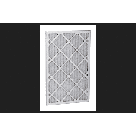 Best Air 12 in. L x 24 in. W x 1 in. D Pleated Air Filter 8 (Best Air Filter For Mold)