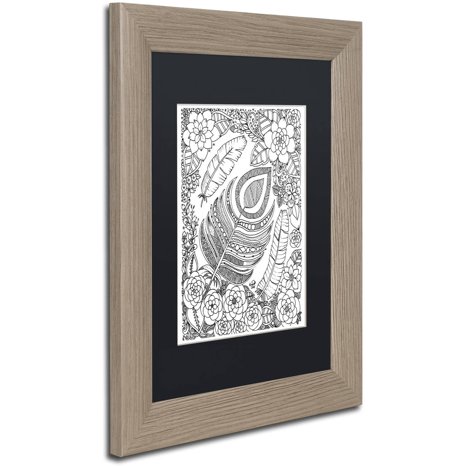 Trademark Fine Art 'Feathers' Canvas Art by KCDoodleArt Black Matte, Birch Frame
