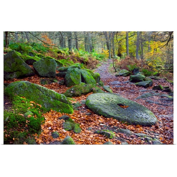 Great BIG Canvas | Rolled John Doornkamp Poster Print entitled An Abandoned Millstone Along A Path In Peak District National Park; Derbyshire,