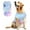 Multicolour, variant on Summer Dog Shirt Lightweight Breathable Mesh Pet T-Shirt Comfortable Blend Tee for Small Medium Dogs Cats