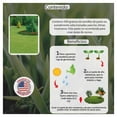 thumbnail image 3 of Semilla de Pasto Vita Rancho los Molinos Transito Intenso 500 g, 3 of 4
