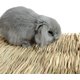 thumbnail image 4 of Colchón de paja tejido para animales pequeños, cama para conejos, nido, juguetes para masticar, juguetes para cama de cobaya, loro, conejo, hámster, rata (juego de 3) (3 colchones de paja), 4 of 5