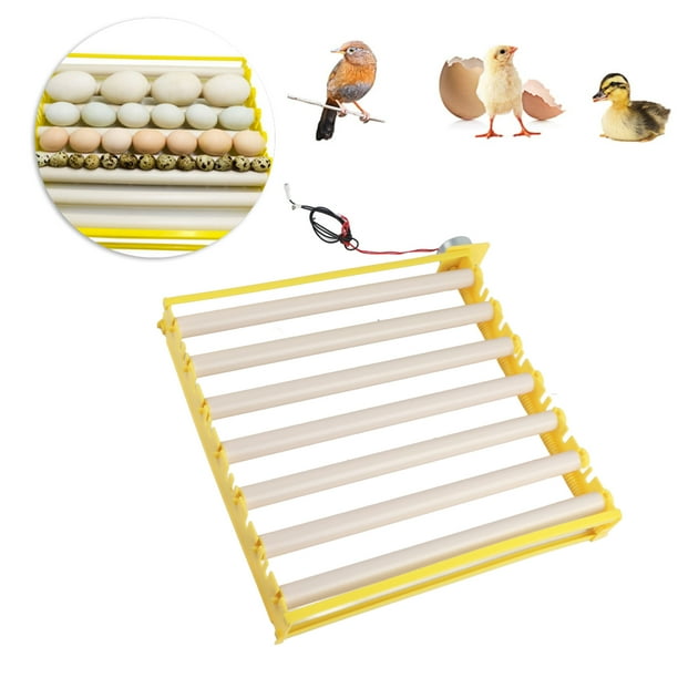 Bandeja Automática de Incubación de Huevos para Codornices Patos y Pollos - Incubadora de 42 Huevos ANGGREK Otros