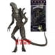 thumbnail image 3 of NECA Alien Alien vs. Predator Alien Dog AVP Alien modelo de figura móvil de 7 pulgadas, 3 of 5