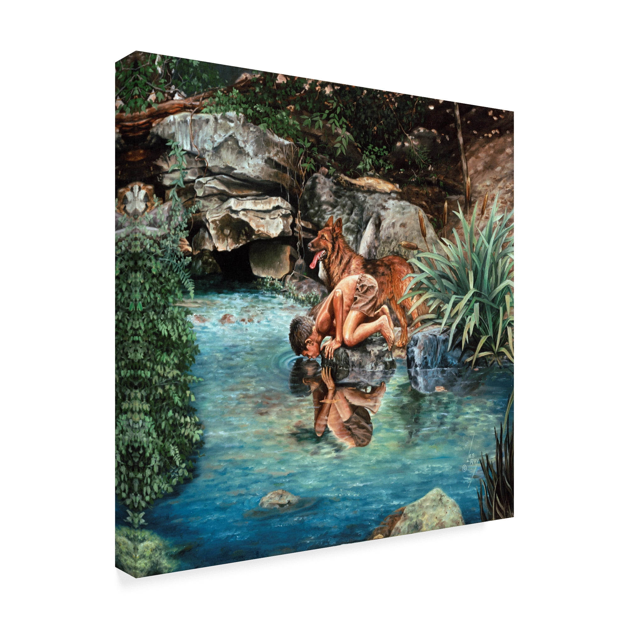 Trademark Fine Art 'Sharing The Water' Canvas Art by Les Ray