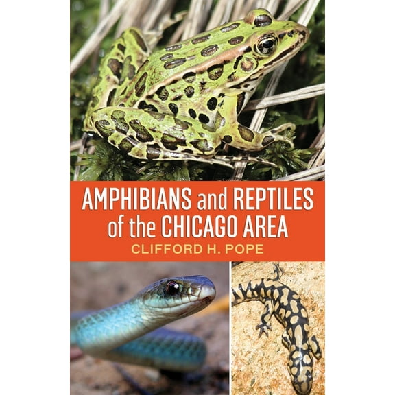 Amphibians and Reptiles of the Chicago Area, (Paperback)