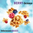 thumbnail image 3 of Jordans Morning Crisp Very Berry Granola Cereal, 3 of 7