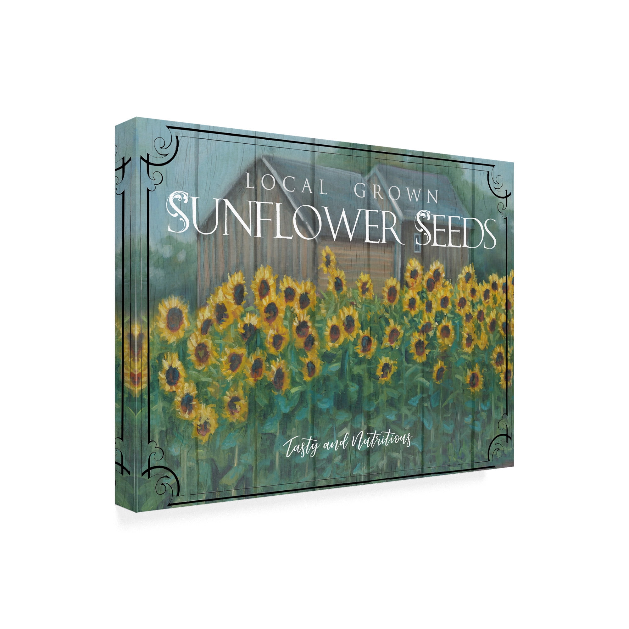Trademark Fine Art 'Sunflower Seeds' Canvas Art by Marnie Bourque