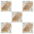 thumbnail image 3 of Billuyoard 50 UNIDS Plumas de pavo Vestido de novia DIY Joyería Decoración Accesorios decorativos Plumas 10  -15 cm Type2 NO2, 3 of 6