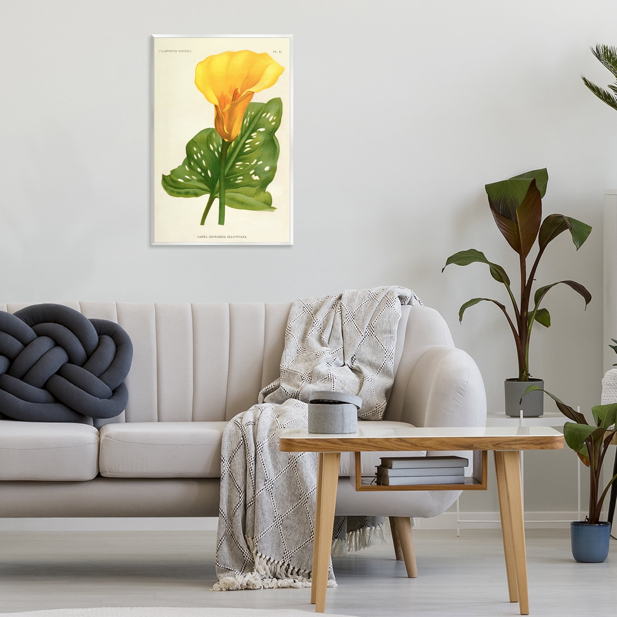 Stupell Industries Yellow Canna Lily Wall Plaque Art, design by Print Collection
