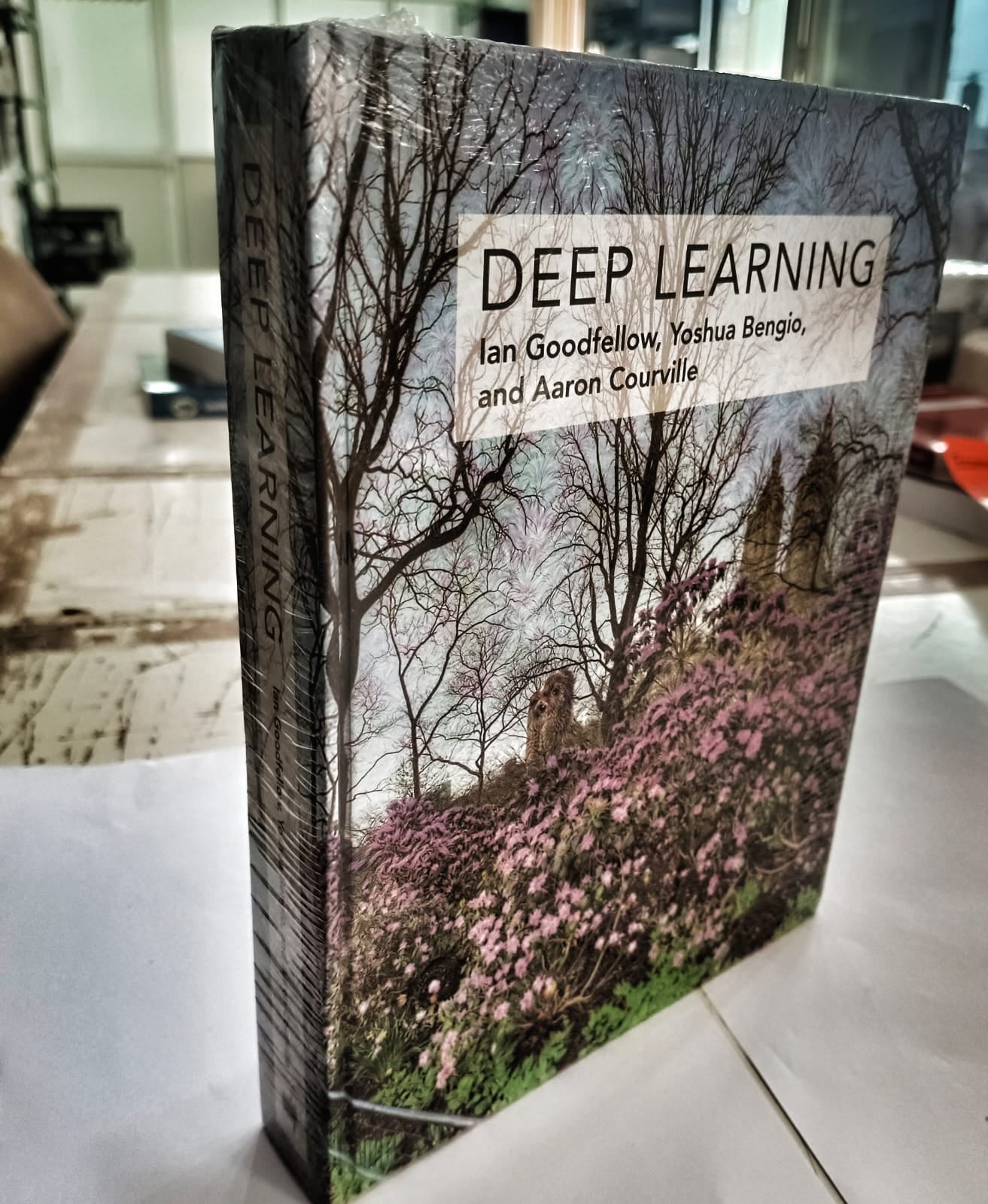 Deep Learning (Adaptive Computation and Machine Learning