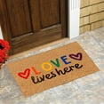 thumbnail image 2 of Clearance Colorful Gay Letter Doormats Funny Door Mats Outdoor Welcome Doormats Entrance Rug Farmhouse Decor Home Kitchen Floor Summer Door Mats Washable Low-Profile Inside Entry Doormats for Entryway, 2 of 4