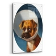 thumbnail image 2 of Epic Art 'Cone of Shame' by Lucia Heffernan, 24"x36", 2 of 8
