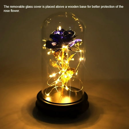 Tebru 24K Gold Plated Rose Flower LED Light with Glass Cover Base Valentines'Day Wedding Gift