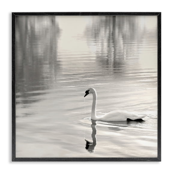 Stupell Industries Rustic Lodge Morning Sunlit Swan Black Framed Giclee Art, 12 x 12, by Nicholas Bell