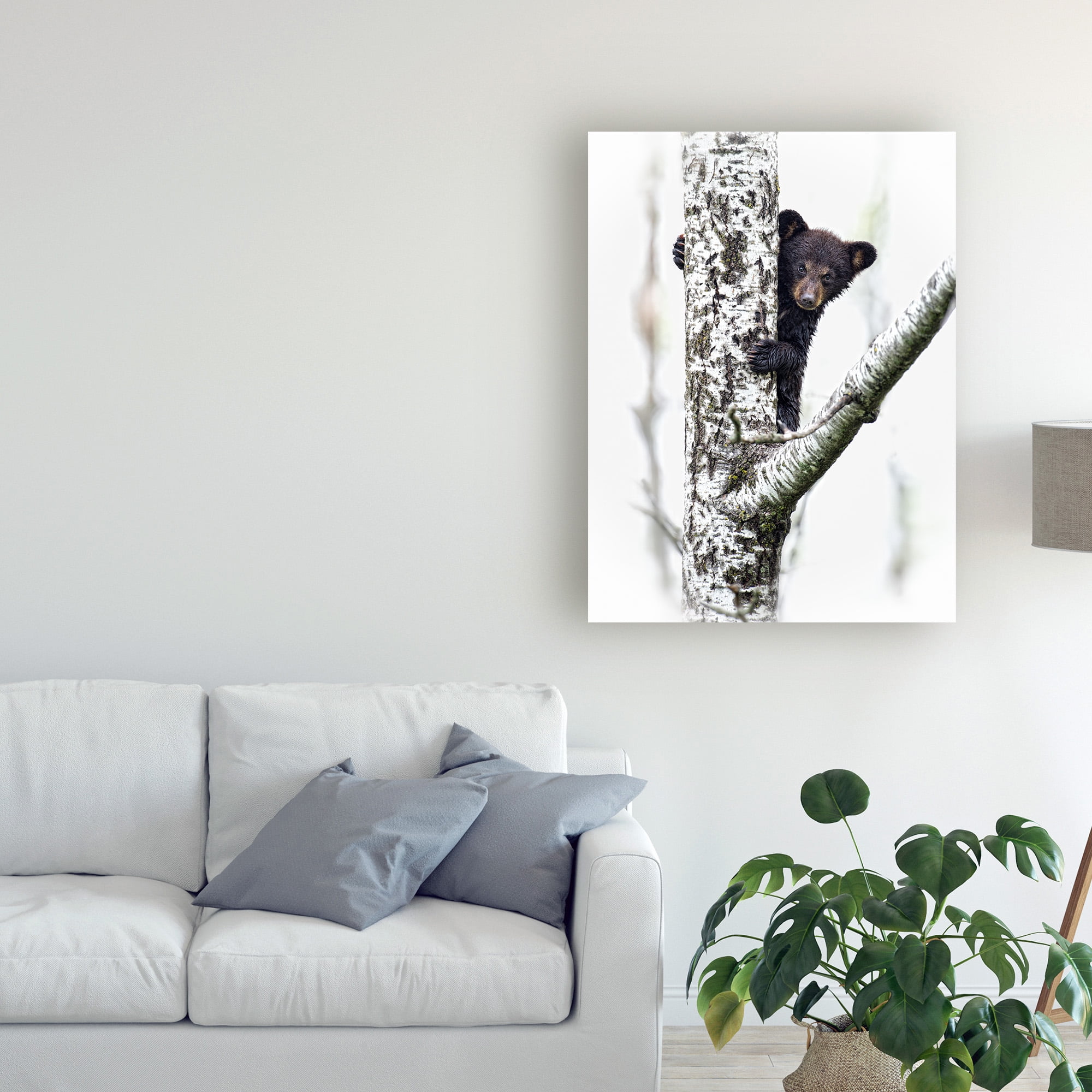 Trademark Fine Art 'Bears at Play V' Canvas Art by PHBurchett