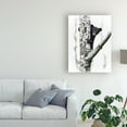 thumbnail image 3 of Trademark Fine Art 'Bears at Play V' Canvas Art by PHBurchett, 3 of 4