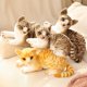 thumbnail image 5 of Muñeco de peluche de gato tumbado para niños, juguete de felpa de la vida Real, regalo de Navidad, accesorios para fotos, decoración del hogar, 5 of 5