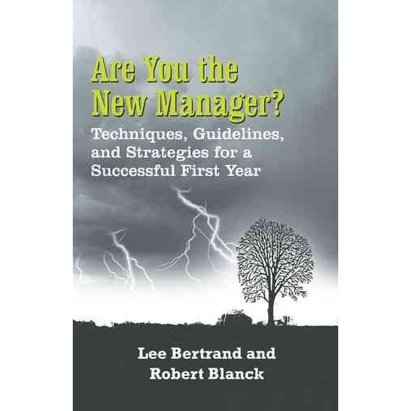 Are You the New Manager? : Techniques, Guidelines, and Strategies for a Successful First Year