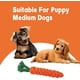 thumbnail image 2 of 2 piezas de juguetes para masticar perros de zanahoria, juguete para perros de cuerda trenzada, juguete para perros de zanahoria, juguetes masticables de algodón duraderos para cachorros pequeños y medianos JM, 2 of 5
