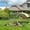 9.8' W x 19.7' L x 6.6' H, variant on Walk-In Metal Chicken Run/Coop - Heavy-Duty Tri-Support Wire Mesh Frame, Waterproof UV Roof Cover, Outdoor Poultry Pen for Chickens Ducks Rabbits