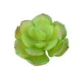 thumbnail image 2 of 10x Fake Succulents Small Vivid Useful Simulated Plants Multi-functional Lifelike Photo Props for Household Yards Lawn Flowerpot Type 23, 2 of 9