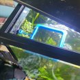 thumbnail image 3 of 4X Anillo de Alimentación para Peces, Círculo Flotante de Alimentación con Ventosa, Fácil de Instalar, Acuario Azul, 3 of 6