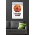 thumbnail image 4 of NBA Chicago Bulls - Drip Basketball 21, 4 of 4