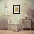 thumbnail image 4 of Johann Friedrich Naumann 11x14 Black Modern Framed Museum Art Print Titled - Motacilla Boarula, 4 of 5