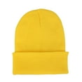 thumbnail image 2 of Windfall Men Women Lightweight Beanies Hats Running Skull Cap Helmet Roll up Edge Skullcap, 2 of 4
