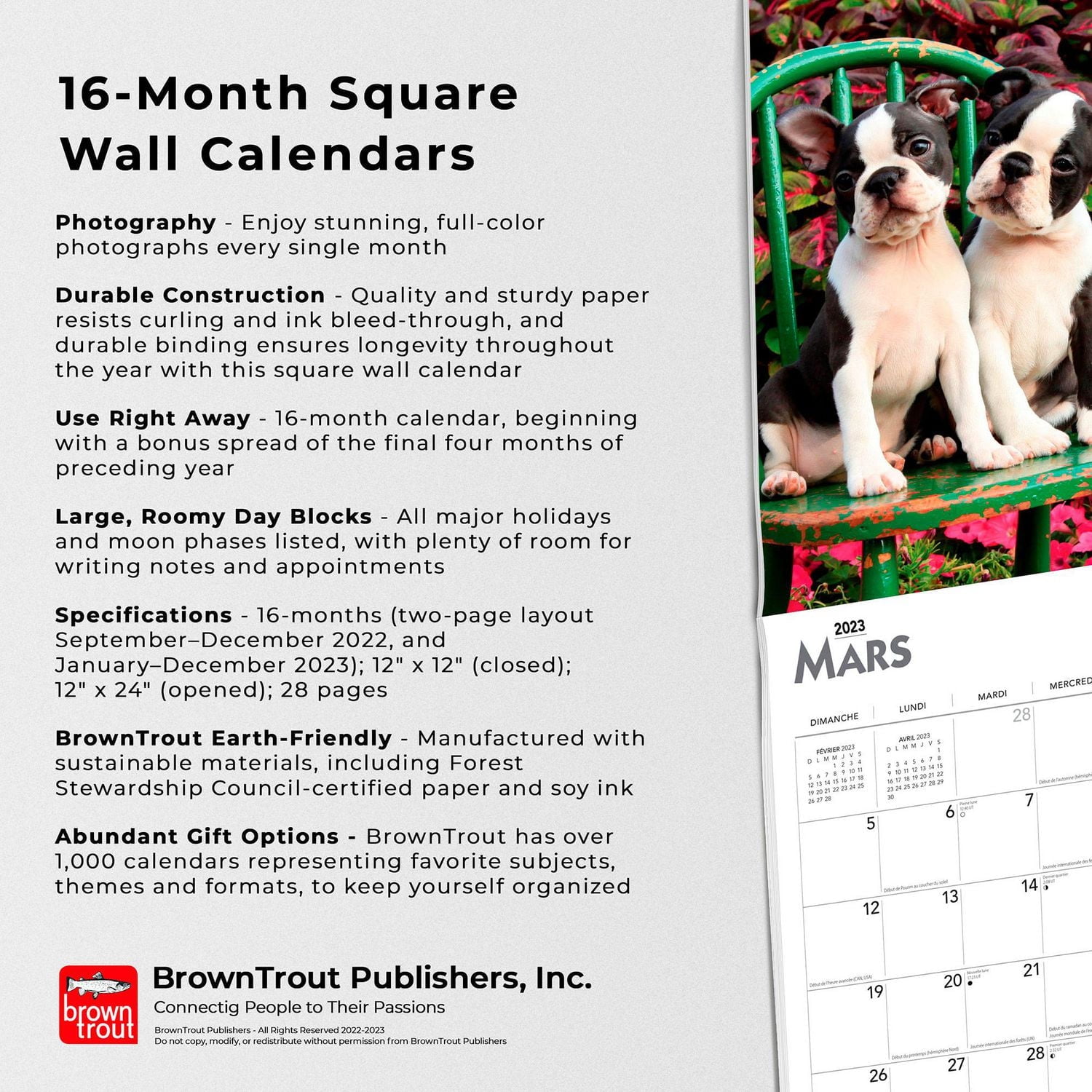 Chiots | 2023 12x24 Inch Square Wall Calendar