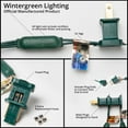 thumbnail image 6 of Wintergreen Lighting T5 LED Mini Lights Brown Wire Christmas Lights, Brown Wired Clear Mini Lights, LED Christmas Lights, 50 Lights, 6 of 8