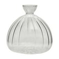 thumbnail image 1 of Hydroponic Growth Jar for Sprouting & Cultivation Unique Container for Nurturing Saplings From Kernels Ideal for Indoor Horticulture, 1 of 8