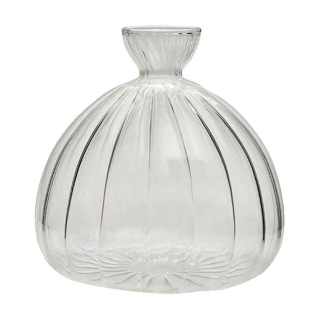 Hydroponic Growth Jar for Sprouting & Cultivation Unique Container for Nurturing Saplings From Kernels Ideal for Indoor Horticulture