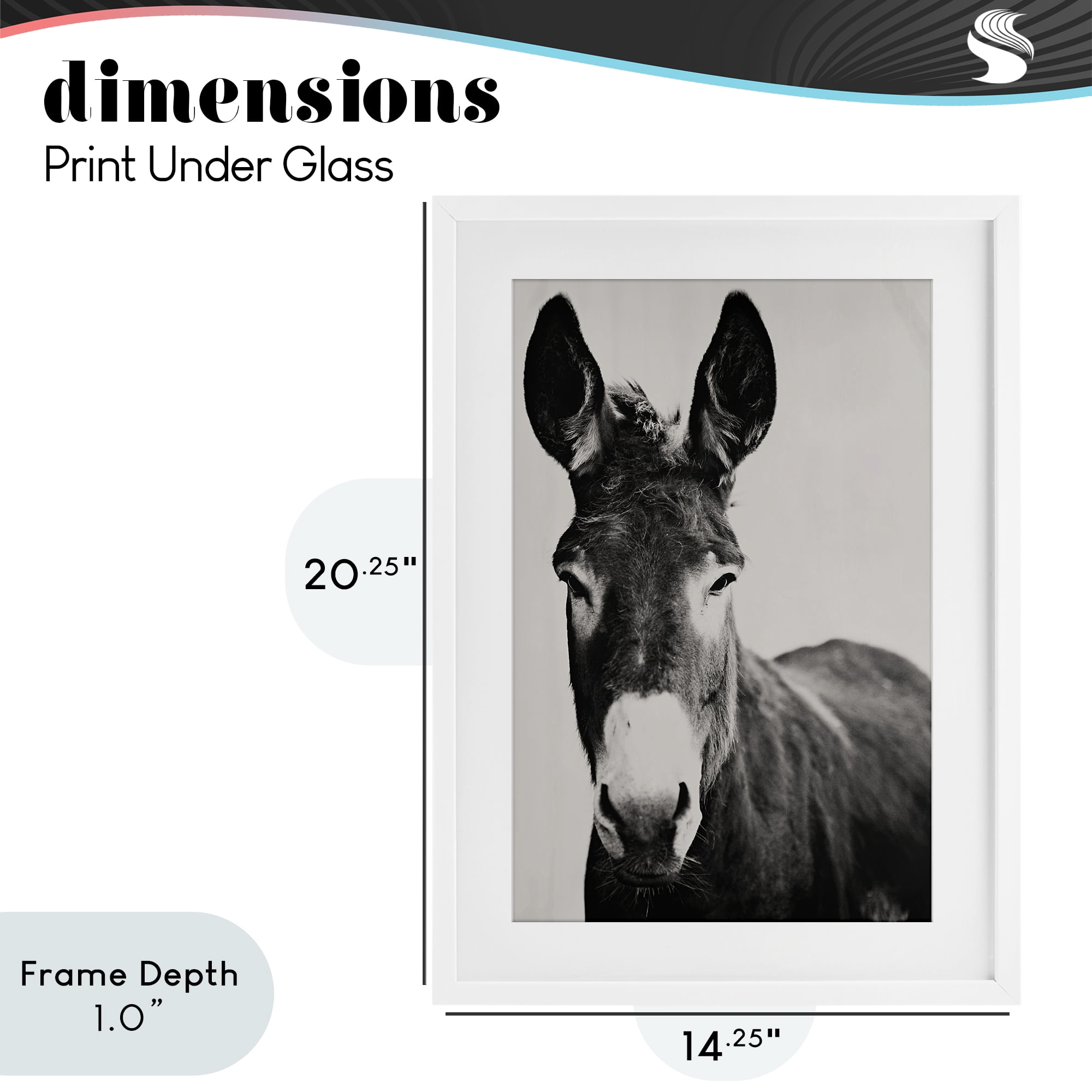Stupell Industries Franz the Donkey Portrait White Framed Print Under Glass, design by Amy Carroll