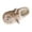 Coffee, variant on Women's Cute Animal Slippers Winter Warm Fuzzy Plush House Slipper Cartoon Sheep Indoor Slide Shoes