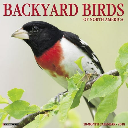 Backyard birds of north america