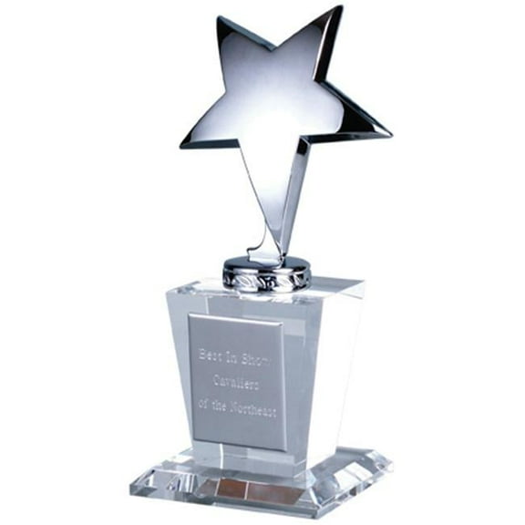 Optical Crystal Silver Star Glass Trophy Award GL8240