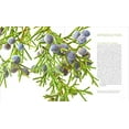 thumbnail image 3 of Seeing Seeds - Hardcover, 3 of 6