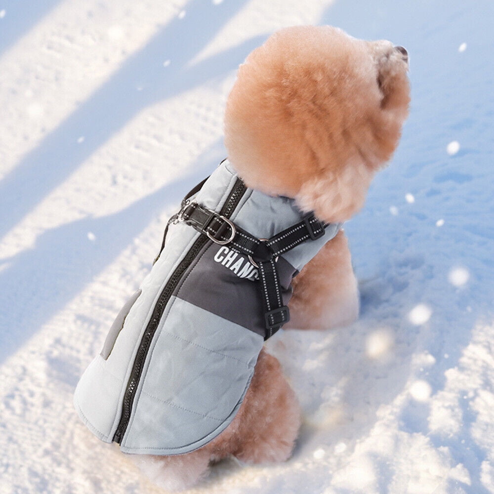 Didog Dog Jacket With Harness Warm Dog Clothes Waterproof Puppy Coat Chihuahua French Bulldog