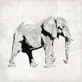 thumbnail image 3 of OnRei 15x15 Black Modern Framed Museum Art Print Titled - Elephant, 3 of 5