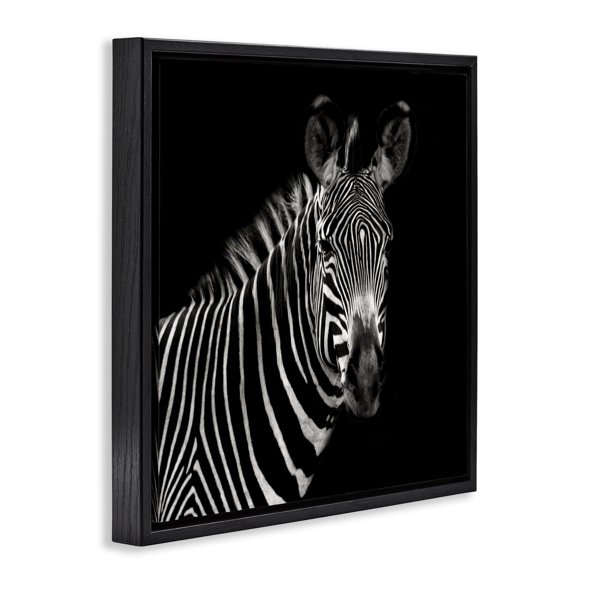Stupell Industries Jungle Zebra Portrait Animals Photography Black Floater Framed Canvas Art Print Wall Art, 25 x 25